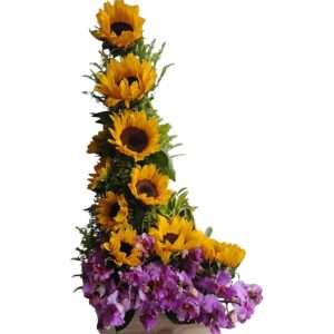 Arreglo girasoles y orquideas hawaianas