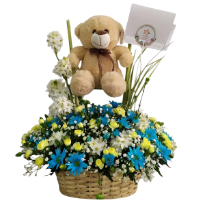 Canasta de margaritas y peluche