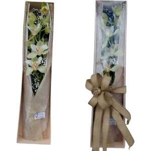 Caja con vara de orquídea cimbidium