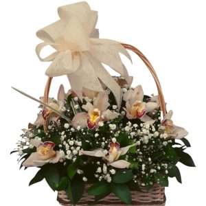 Canasta de orquídeas cimbidium