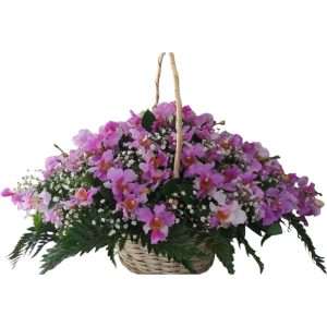 Canasta de orquídeas hawaianas