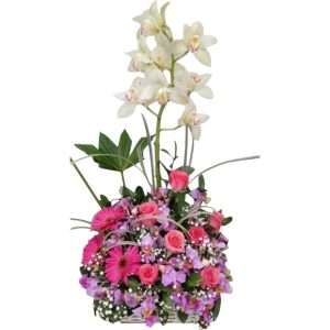 Diseño de orquídeas, rosas y gerberas