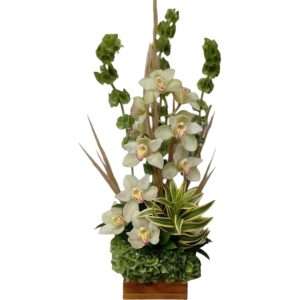 Diseño en orquídeas cimbidium