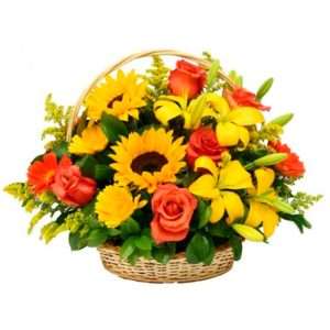 Girasoles, gerberas, lirios y rosas