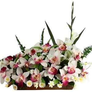 Jardín de orquídeas cimbidium