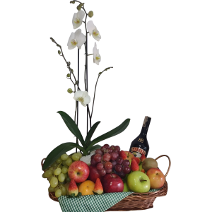 Planta de orquidea, frutas y baileys