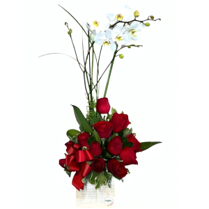 Planta de orquídea y rosas