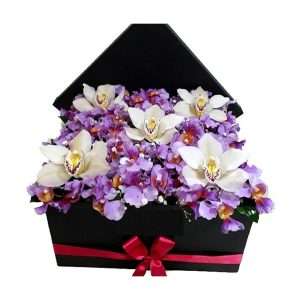 Caja tapizada de variedad de orquídeas