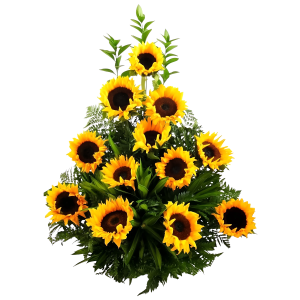 Girasoles en arreglo tradicional