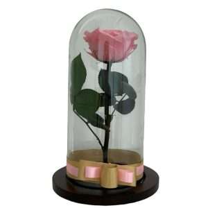 Rosa eterna o preservada
