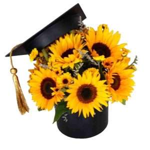 Caja de grado con girasoles