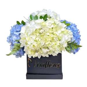 Caja de hortensias
